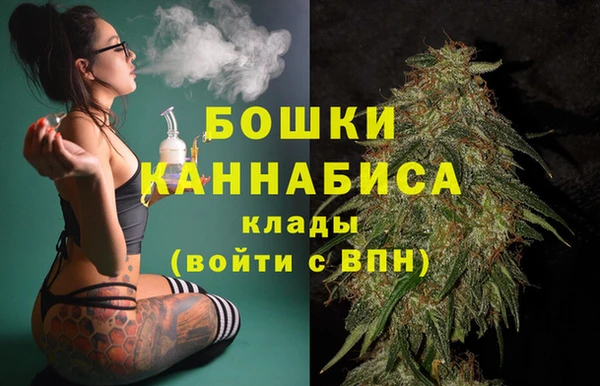 прущие грибы Карпинск