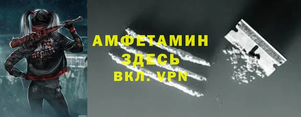 прущие грибы Карпинск