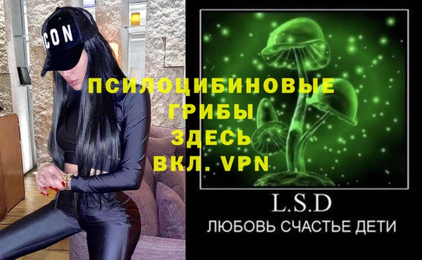 прущие грибы Карпинск