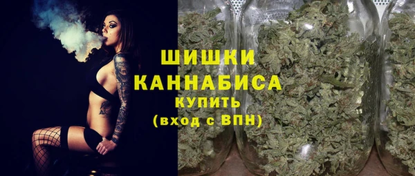 прущие грибы Карпинск