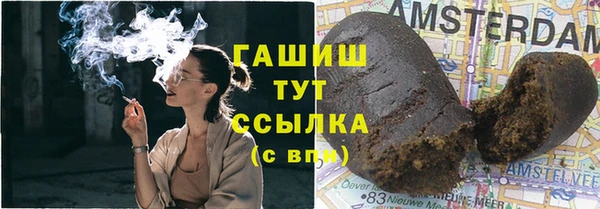 прущие грибы Карпинск