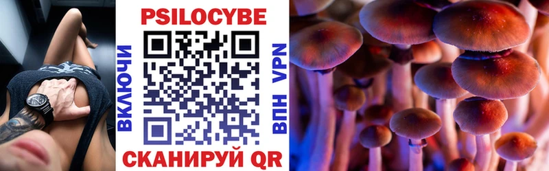 Псилоцибиновые грибы Psilocybe Купить закладки Воскресенск
